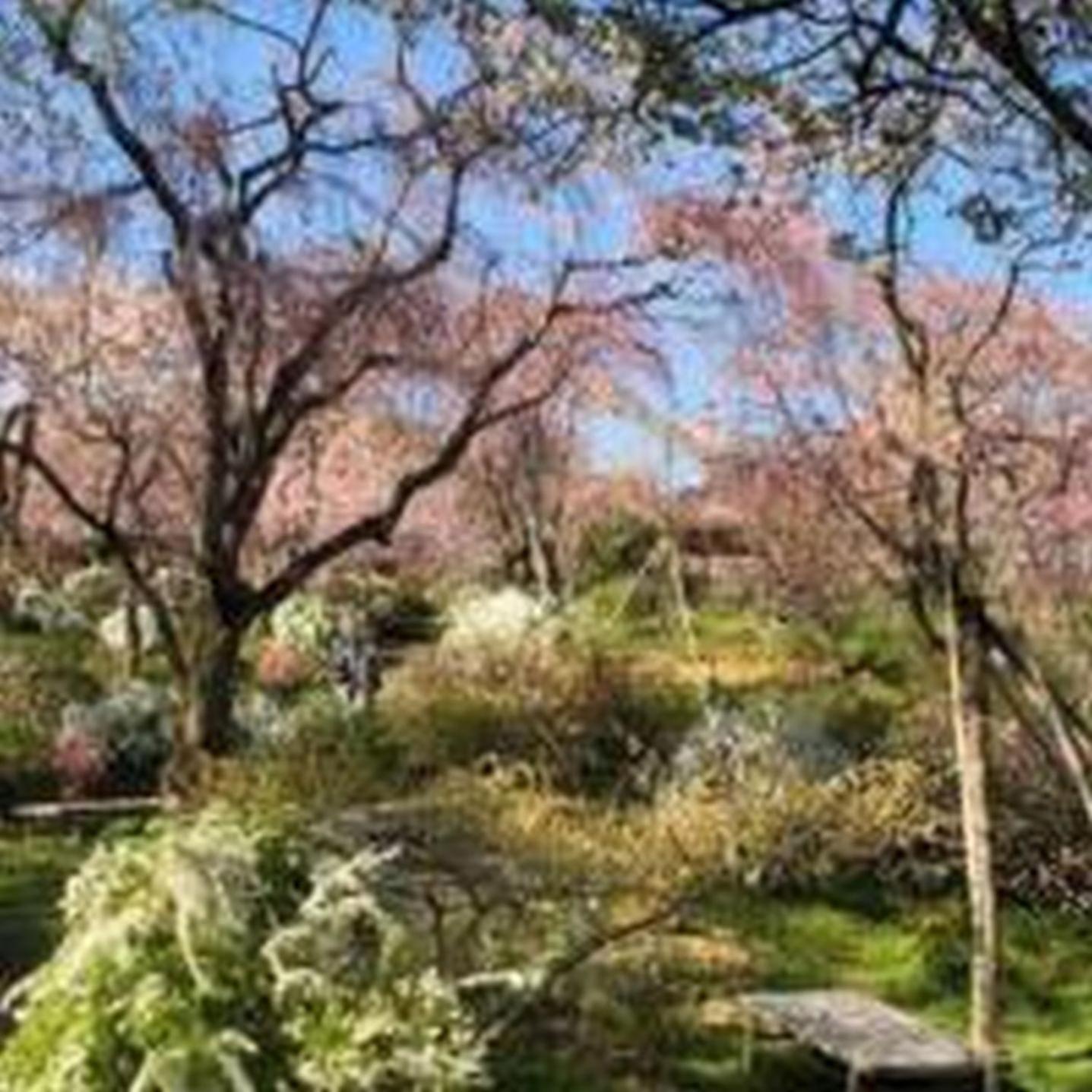 شقة むつみ庵此花601 أوساكا المظهر الخارجي الصورة